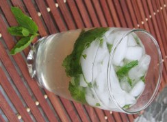 Mojito 2