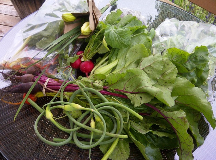 Third Delivery of CSA