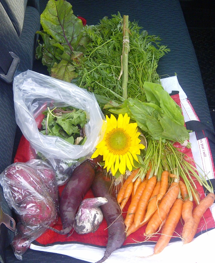 Seventh Delivery of CSA